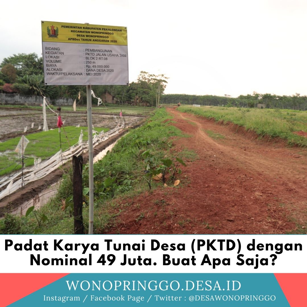 PKTD Desa Wonopringgo