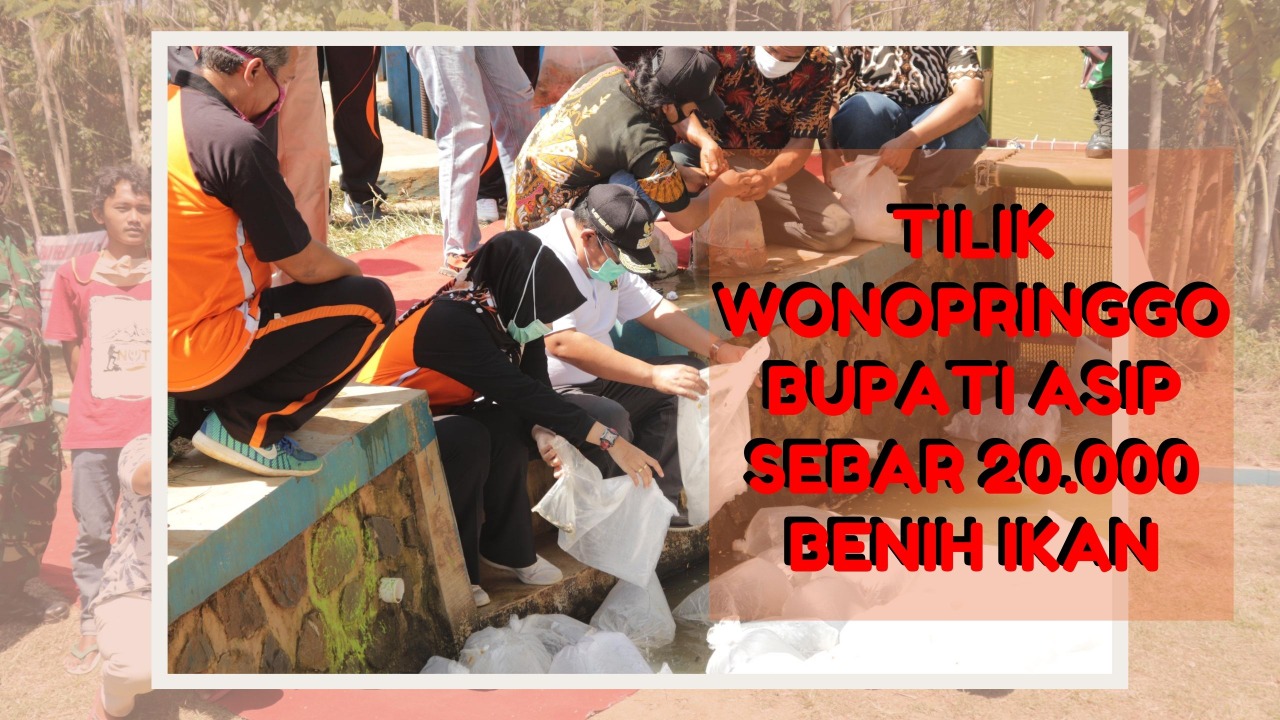 TILIK Wonopringo, Bupati Asip Sebar Benih Ikan