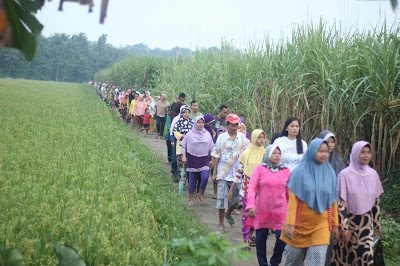 Jalan Sehat Dalam Rangka Halal Bi Halal Desa Wonopringgo Tahun 2017 M atau 1438 H